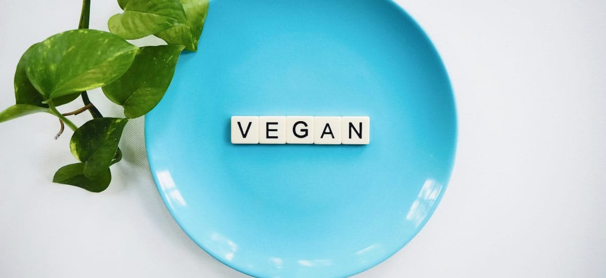 VEGAN Letter BLocks in Blue Plate VEGAN Letter Blocks in Blue Plate